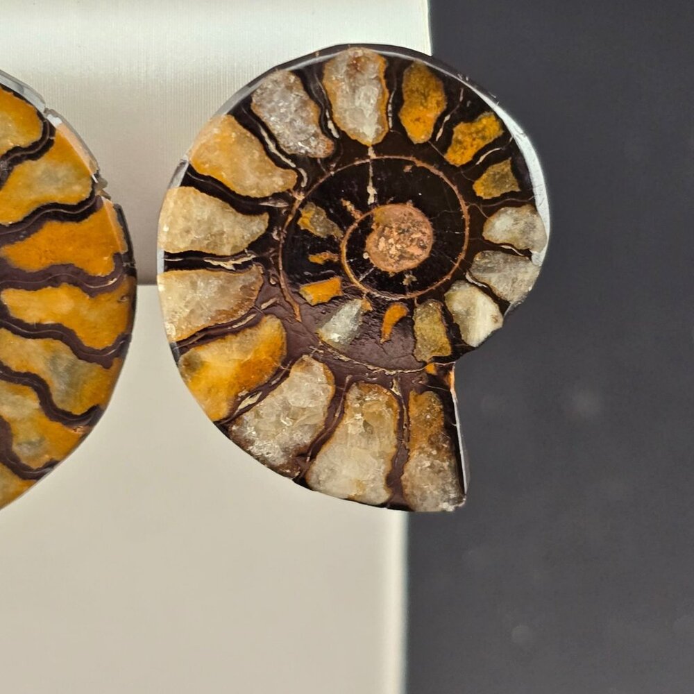 Rare Vendome Ammonite Fossil Clip-On Earrings Yellow & Brown Vintage READ - Picture 4 of 8